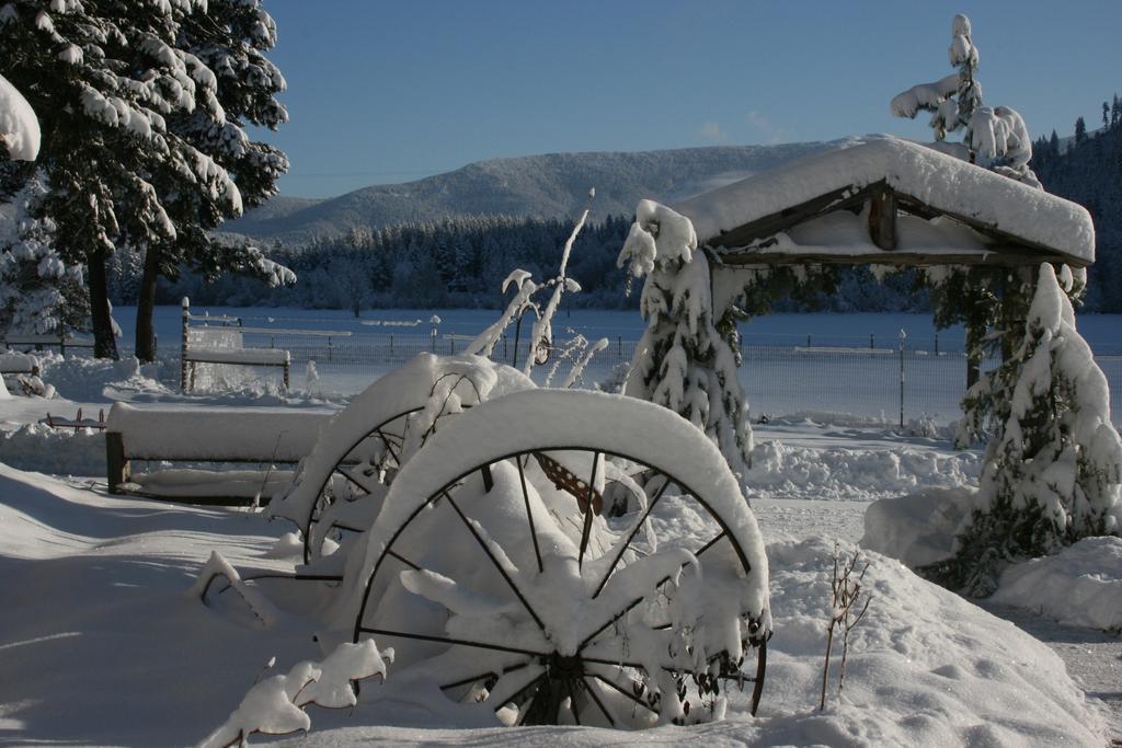 Cedar Mountain Farm Bed And Breakfast Llc Athol Exteriér fotografie