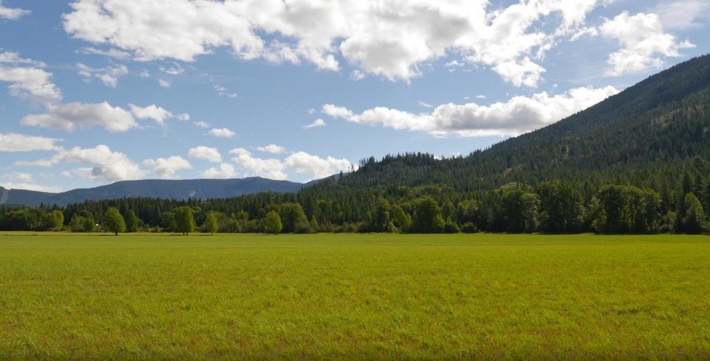 Cedar Mountain Farm Bed And Breakfast Llc Athol Exteriér fotografie