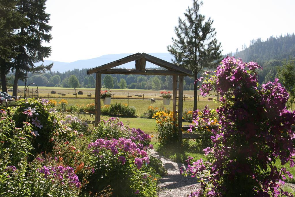Cedar Mountain Farm Bed And Breakfast Llc Athol Exteriér fotografie